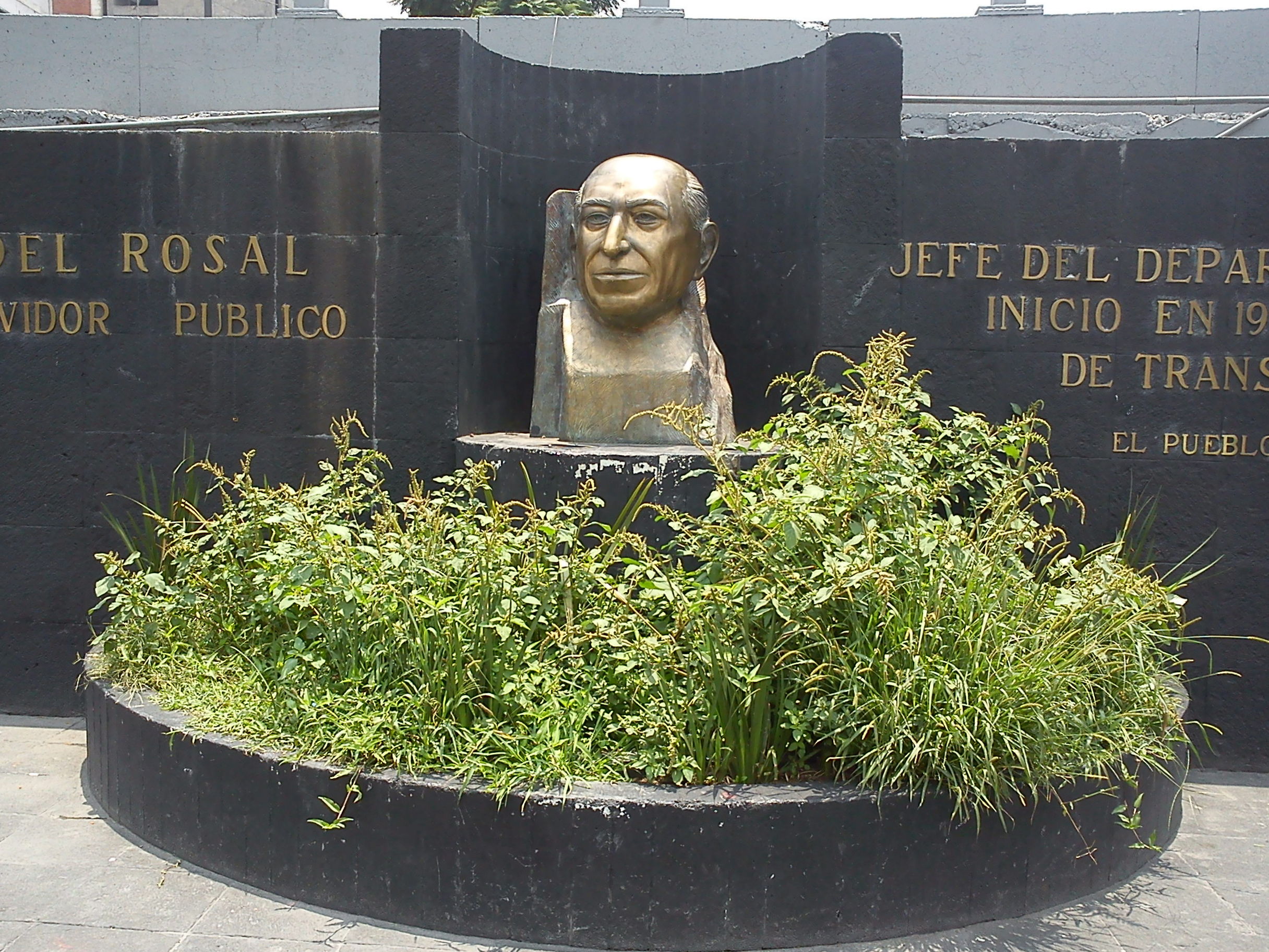 Alfonso Corona