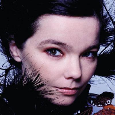 Björk Guðmundsdóttir
