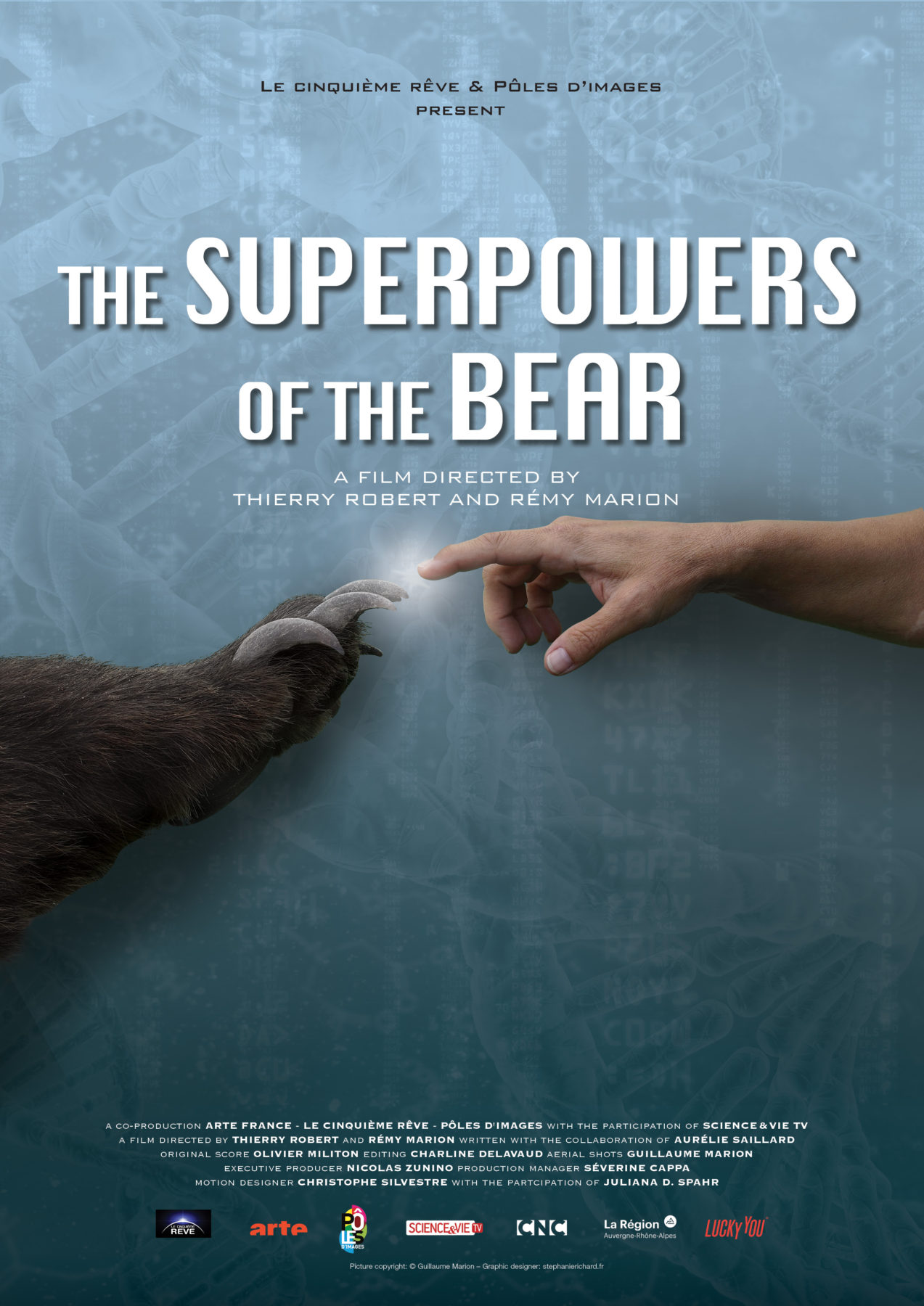 The Superpowers of the bear