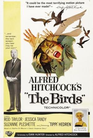 The Birds