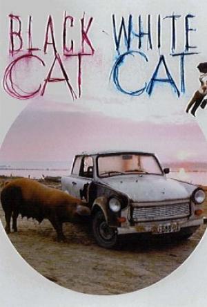Black Cat, White Cat