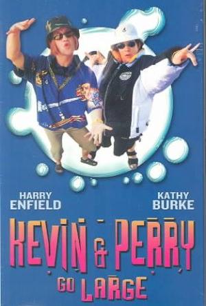 Kevin and Perry Go Large