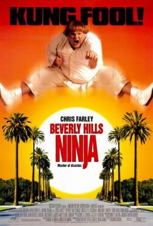 Beverly Hills Ninja