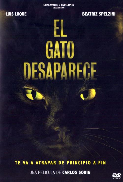 El gato desaparece