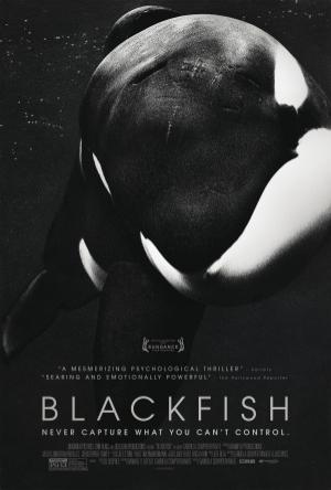 Blackfish