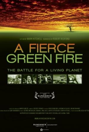 Grimmur grænn eldur