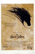 The Black Stallion