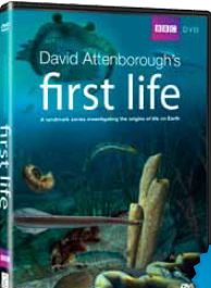 First Life