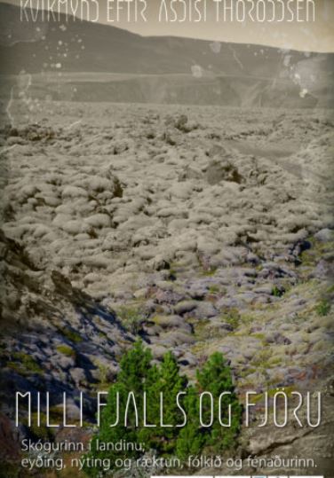 Milli fjalls og fjöru
