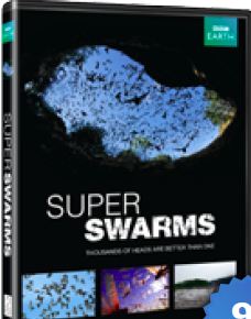 Super Swarms
