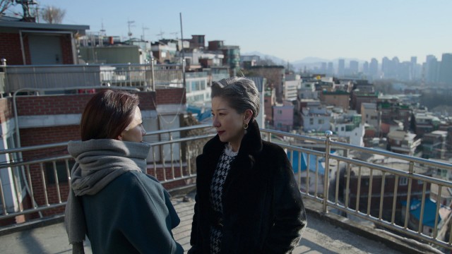 6회