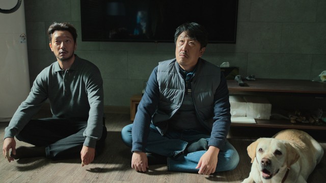 5화