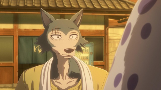 果肉を切り分けて