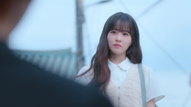 해파리에게도 삶은 아름답고, 웅장한 것