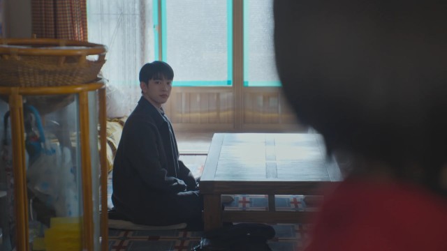 나무 속 아이