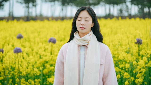 12회