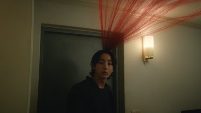 동물의 왕국