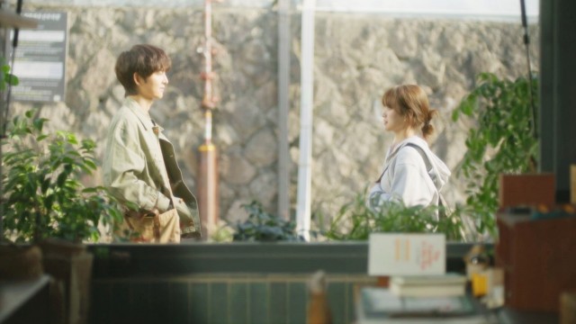 6회