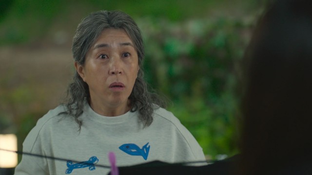 5회