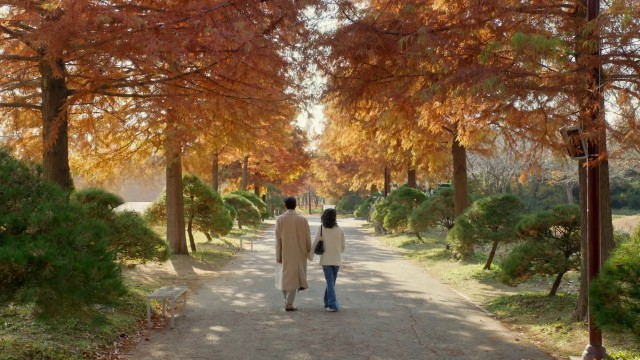 16회
