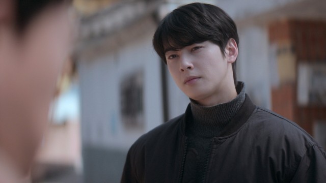 모든 길은 채니로 통한다
