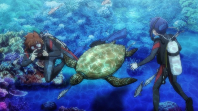 パラオの海