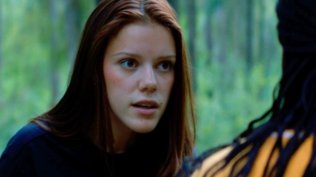 Apology